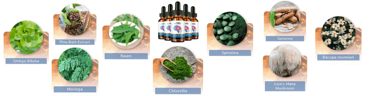 Pineal Guardian Ingredients 